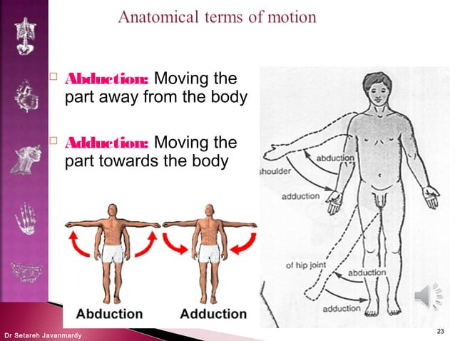 Introduction to anatomy, anatomical terms | PPT
