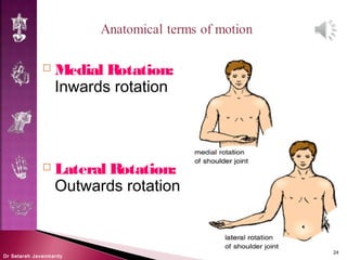 Medial Rotation Lateral Rotation Introduction to anatomy, anatomical terms | PPT