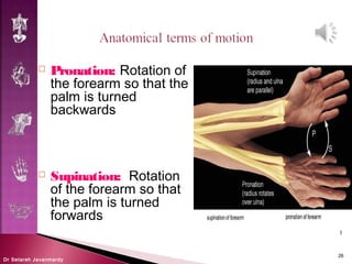 Introduction to anatomy, anatomical terms | PPT