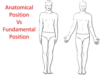 Introduction to anatomy and medical terminology | PPTX