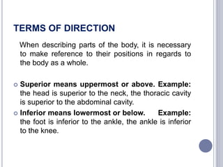 Introduction to anatomy and physioligy.pptx | Free Download