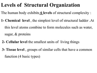 introduction to anatomy and physiology | PPT