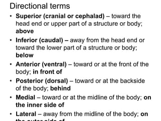 introduction to anatomy and physiology | PPT
