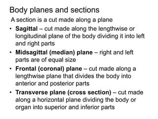 introduction to anatomy and physiology | PPT