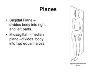 Halves Body Part introduction to anatomy and physiology | PPT