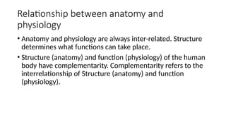 Comprehensive Introduction to Human Anatomy and Physiology: Structure ...