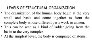 Comprehensive Introduction to Human Anatomy and Physiology: Structure ...
