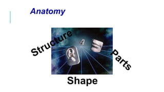 Introduction to Anatomy and Physiology 01.pdf