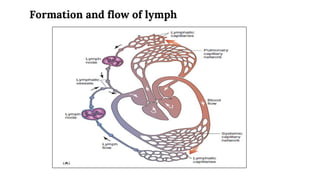 Introduction to Anatomy and Physiology 11.pdf