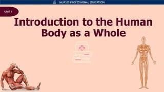 Introduction to anatomy and physiology ppt.pptx