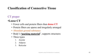 introduction to anatomy fuad.pptx