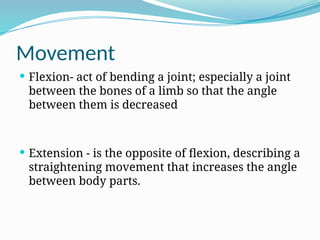 Flection Introduction to Anatomy & Physiology 1.pptx