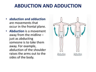 INTRODUCTION TO ANATOMY sun.pptx