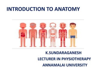 INTRODUCTION TO ANATOMY
K.SUNDARAGANESH
LECTURER IN PHYSIOTHERAPY
ANNAMALAI UNIVERSITY
 