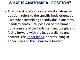 WHAT IS ANATOMICAL POSITION?
• Anatomical position, or standard anatomical
position, refers to the specific body orientati...