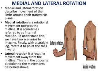 PROTRACTION AND RETRACTION
• Protraction describes the
anterolateral movement of
the scapula on the thoracic
wall that all...