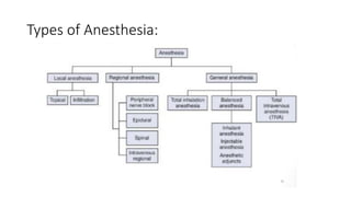 INTRODUCTION_TO_ANESTHESIA Class MBBS.pptx