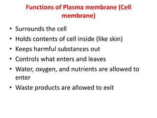 Functions of Plasma membrane (Cell
membrane)
• Surrounds the cell
• Holds contents of cell inside (like skin)
• Keeps harmful substances out
• Controls what enters and leaves
• Water, oxygen, and nutrients are allowed to
enter
• Waste products are allowed to exit
 