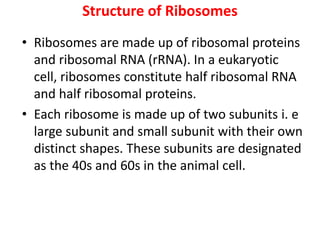 Structure of Ribosomes
• Ribosomes are made up of ribosomal proteins
and ribosomal RNA (rRNA). In a eukaryotic
cell, ribosomes constitute half ribosomal RNA
and half ribosomal proteins.
• Each ribosome is made up of two subunits i. e
large subunit and small subunit with their own
distinct shapes. These subunits are designated
as the 40s and 60s in the animal cell.
 