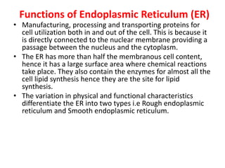Functions of Endoplasmic Reticulum (ER)
• Manufacturing, processing and transporting proteins for
cell utilization both in and out of the cell. This is because it
is directly connected to the nuclear membrane providing a
passage between the nucleus and the cytoplasm.
• The ER has more than half the membranous cell content,
hence it has a large surface area where chemical reactions
take place. They also contain the enzymes for almost all the
cell lipid synthesis hence they are the site for lipid
synthesis.
• The variation in physical and functional characteristics
differentiate the ER into two types i.e Rough endoplasmic
reticulum and Smooth endoplasmic reticulum.
 