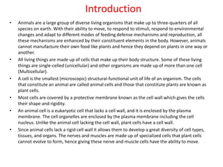 Introduction
• Animals are a large group of diverse living organisms that make up to three-quarters of all
species on earth. With their ability to move, to respond to stimuli, respond to environmental
changes and adapt to different modes of feeding defense mechanisms and reproduction, all
these mechanisms are enhanced by their constituent elements in the body. However, animals
cannot manufacture their own food like plants and hence they depend on plants in one way or
another.
• All living things are made up of cells that make up their body structure. Some of these living
things are single-celled (unicellular) and other organisms are made up of more than one cell
(Multicellular).
• A cell is the smallest (microscopic) structural-functional unit of life of an organism. The cells
that constitute an animal are called animal cells and those that constitute plants are known as
plant cells.
• Most cells are covered by a protective membrane known as the cell wall which gives the cells
their shape and rigidity.
• An animal cell is a eukaryotic cell that lacks a cell wall, and it is enclosed by the plasma
membrane. The cell organelles are enclosed by the plasma membrane including the cell
nucleus. Unlike the animal cell lacking the cell wall, plant cells have a cell wall.
• Since animal cells lack a rigid cell wall it allows them to develop a great diversity of cell types,
tissues, and organs. The nerves and muscles are made up of specialized cells that plant cells
cannot evolve to form, hence giving these nerve and muscle cells have the ability to move.
 