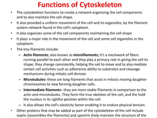 Functions of Cytoskeleton
• The cytoskeleton functions to create a network organizing the cell components
and to also maintain the cell shape.
• It also provided a uniform movement of the cell and its organelles, by the filament
system network found in the cell’s cytoplasm.
• It also organizes some of the cell components maintaining the cell shape
• It plays a major role in the movement of the cell and some cell organelles in the
cytoplasm.
• The tiny filaments include:
– Actin filaments; also known as microfilaments; it’s a meshwork of fibers
running parallel to each other and they play a primary role in giving the cell its
shape; they change consistently, helping the cell to move and to also mediate
certain cell activities such as adherence ability to substrates and cleavage
mechanisms during mitotic cell division
– Microtubules- these are long filaments that assist in mitosis moving daughter
chromosomes to new forming daughter cells.
– Intermediate filaments– they are more stable filaments in comparison to the
actin and microtubules. They form the true skeleton of the cell, and the hold
the nucleus in its rightful position within the cell.
– It also allows the cell’s elasticity factor enabling it to endure physical tension.
• Other proteins that may be added as part of the cytoskeleton of the cell include
septin ((assembles the filaments) and spectrin (help maintain the structure of the
 
