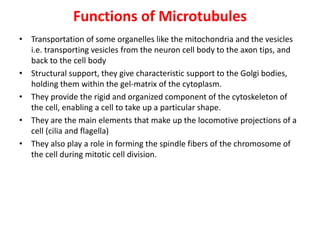 Functions of Microtubules
• Transportation of some organelles like the mitochondria and the vesicles
i.e. transporting vesicles from the neuron cell body to the axon tips, and
back to the cell body
• Structural support, they give characteristic support to the Golgi bodies,
holding them within the gel-matrix of the cytoplasm.
• They provide the rigid and organized component of the cytoskeleton of
the cell, enabling a cell to take up a particular shape.
• They are the main elements that make up the locomotive projections of a
cell (cilia and flagella)
• They also play a role in forming the spindle fibers of the chromosome of
the cell during mitotic cell division.
 