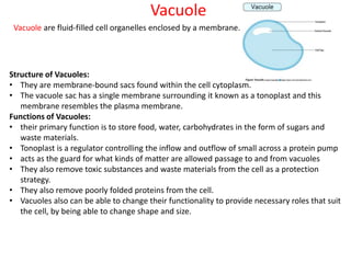 Vacuole
Vacuole are fluid-filled cell organelles enclosed by a membrane.
Structure of Vacuoles:
• They are membrane-bound sacs found within the cell cytoplasm.
• The vacuole sac has a single membrane surrounding it known as a tonoplast and this
membrane resembles the plasma membrane.
Functions of Vacuoles:
• their primary function is to store food, water, carbohydrates in the form of sugars and
waste materials.
• Tonoplast is a regulator controlling the inflow and outflow of small across a protein pump
• acts as the guard for what kinds of matter are allowed passage to and from vacuoles
• They also remove toxic substances and waste materials from the cell as a protection
strategy.
• They also remove poorly folded proteins from the cell.
• Vacuoles also can be able to change their functionality to provide necessary roles that suit
the cell, by being able to change shape and size.
 
