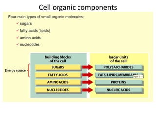 Cell organic components
 