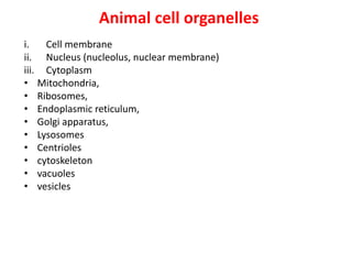 Animal cell organelles
i. Cell membrane
ii. Nucleus (nucleolus, nuclear membrane)
iii. Cytoplasm
• Mitochondria,
• Ribosomes,
• Endoplasmic reticulum,
• Golgi apparatus,
• Lysosomes
• Centrioles
• cytoskeleton
• vacuoles
• vesicles
 