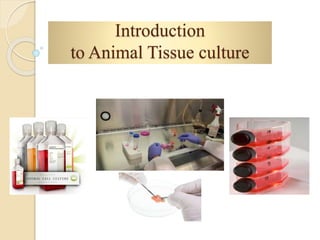 Introduction
to Animal Tissue culture
 