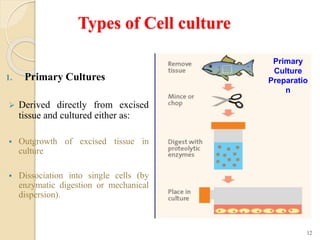 Introduction to animal cell culture