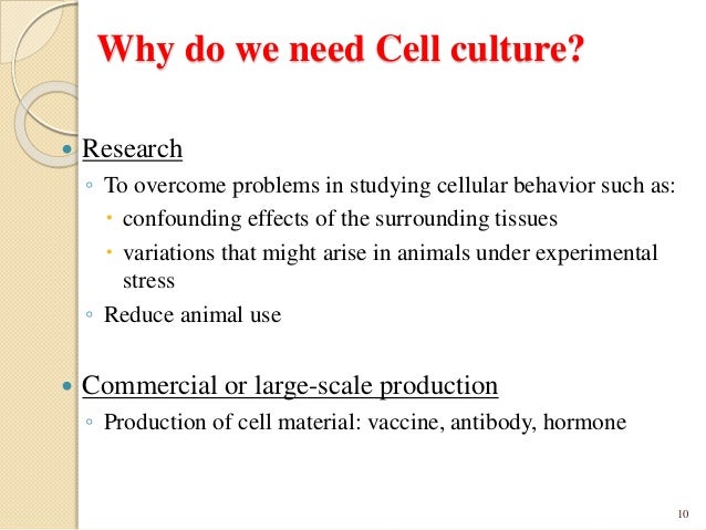 intro animal cell culture This workshop provides a solid basis for the understanding of the growth of animal cells and combines lecture and laboratory exercises topics include: introduction to cell and tissue culture, serum containing media and the use of serum cell counting and viability determination, development of growth curves, growth of adherent and suspension cells, transfection technologies for recombinant . intro animal cell culture This workshop provides a solid basis for the understanding of the growth of animal cells and combines lecture and laboratory exercises topics include: introduction to cell and tissue culture, serum containing media and the use of serum cell counting and viability determination, development of growth curves, growth of adherent and suspension cells, transfection technologies for recombinant .
