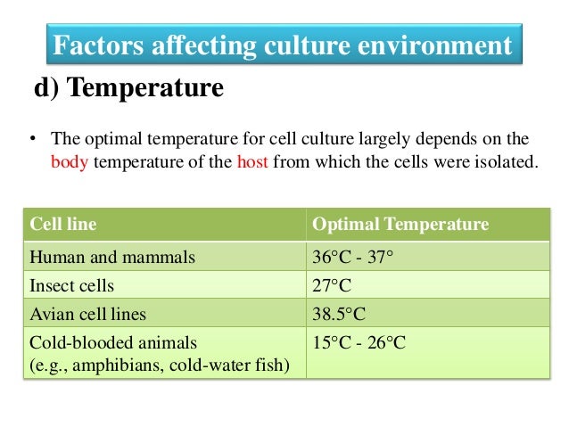 Introduction to animal cell culture