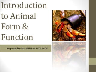 Introduction
to Animal
Form &
Function
Prepared by: Ms. IRISH M. SEQUIHOD
 