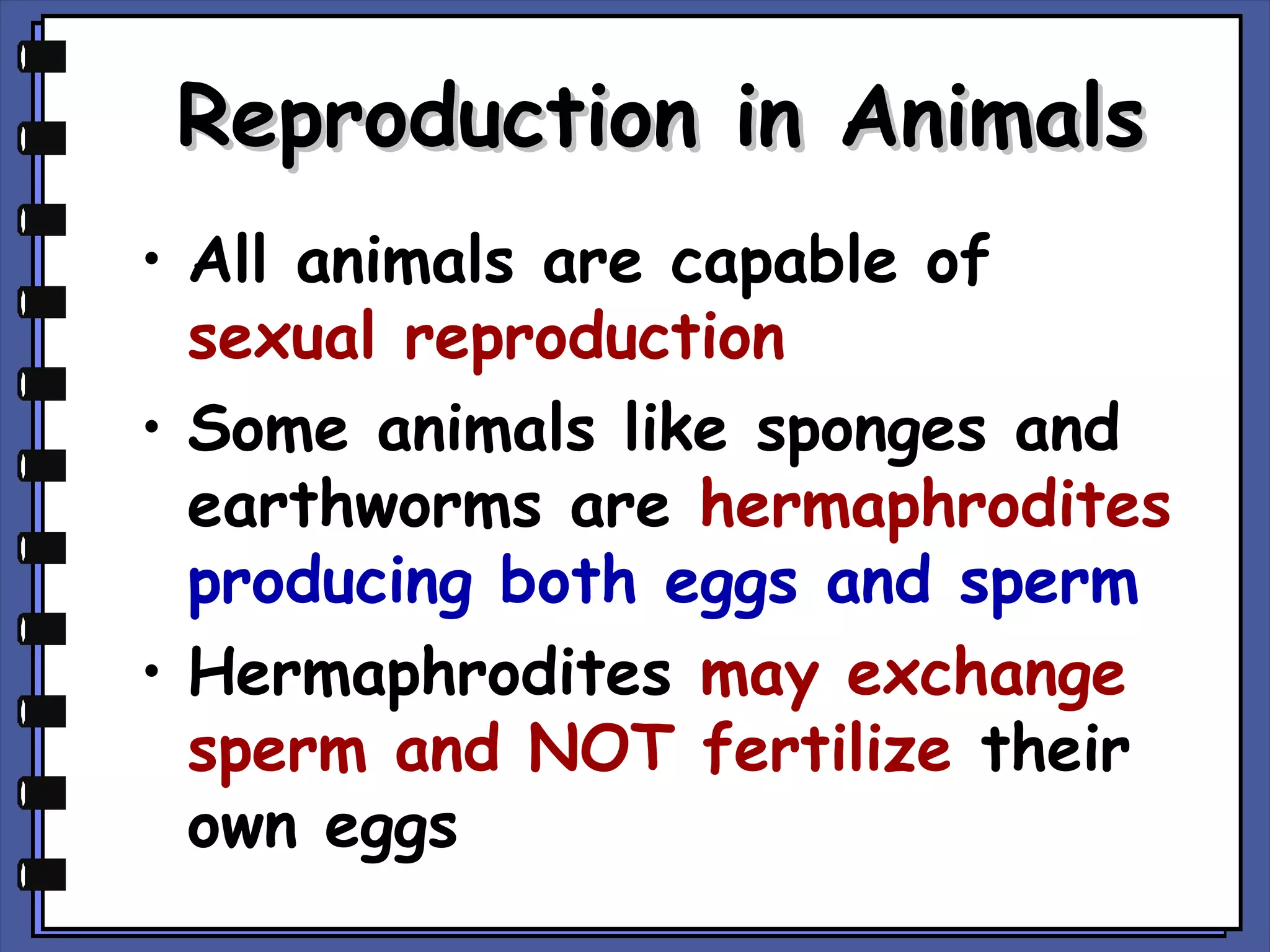 Reproduction in Animals
• All animals are capable of
sexual reproduction
• Some animals like sponges and
earthworms are hermaphrodites
producing both eggs and sperm
• Hermaphrodites may exchange
sperm and NOT fertilize their
own eggs

 