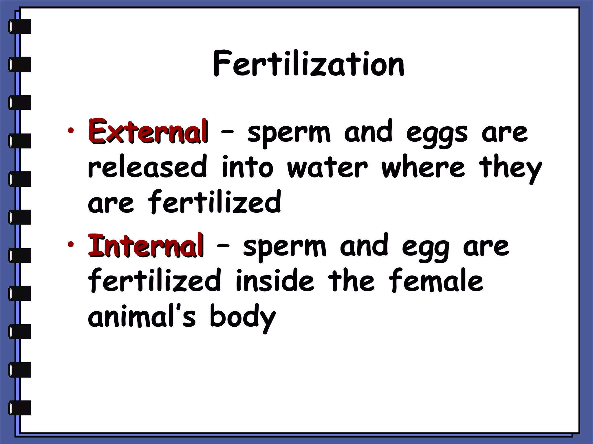 Fertilization
• External – sperm and eggs are
released into water where they
are fertilized
• Internal – sperm and egg are
fertilized inside the female
animal’s body

 