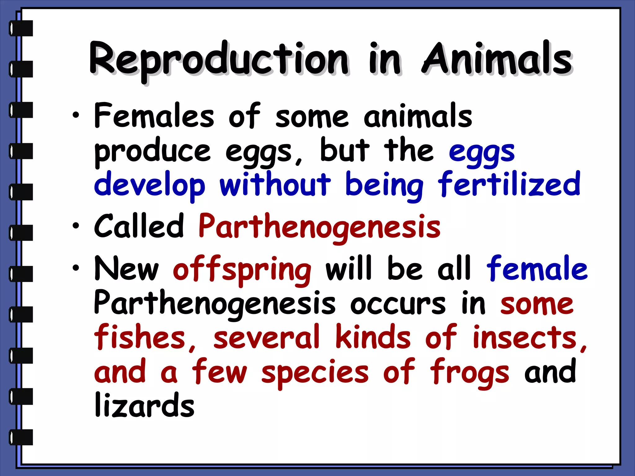 Reproduction in Animals
• Females of some animals
produce eggs, but the eggs
develop without being fertilized
• Called Parthenogenesis
• New offspring will be all female
Parthenogenesis occurs in some
fishes, several kinds of insects,
and a few species of frogs and
lizards

 