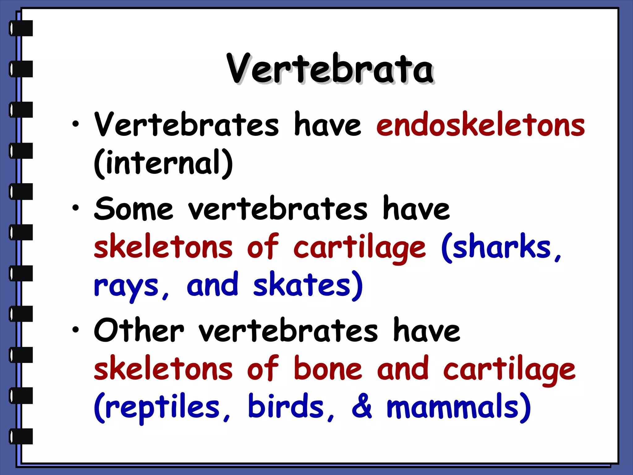 Vertebrata
• Vertebrates have endoskeletons
(internal)
• Some vertebrates have
skeletons of cartilage (sharks,
rays, and skates)
• Other vertebrates have
skeletons of bone and cartilage
(reptiles, birds, & mammals)

 