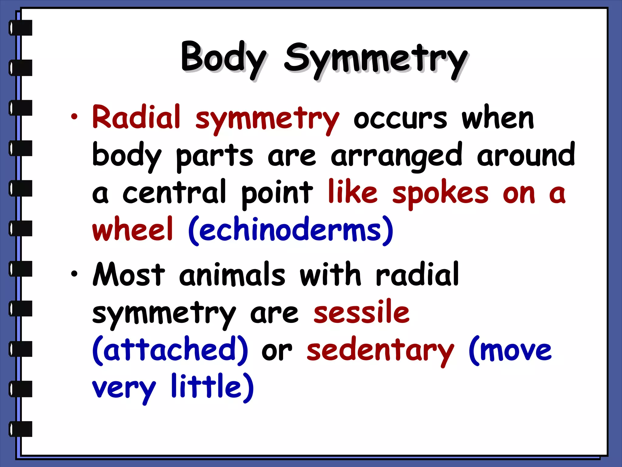 Body Symmetry
• Radial symmetry occurs when
body parts are arranged around
a central point like spokes on a
wheel (echinoderms)
• Most animals with radial
symmetry are sessile
(attached) or sedentary (move
very little)

 