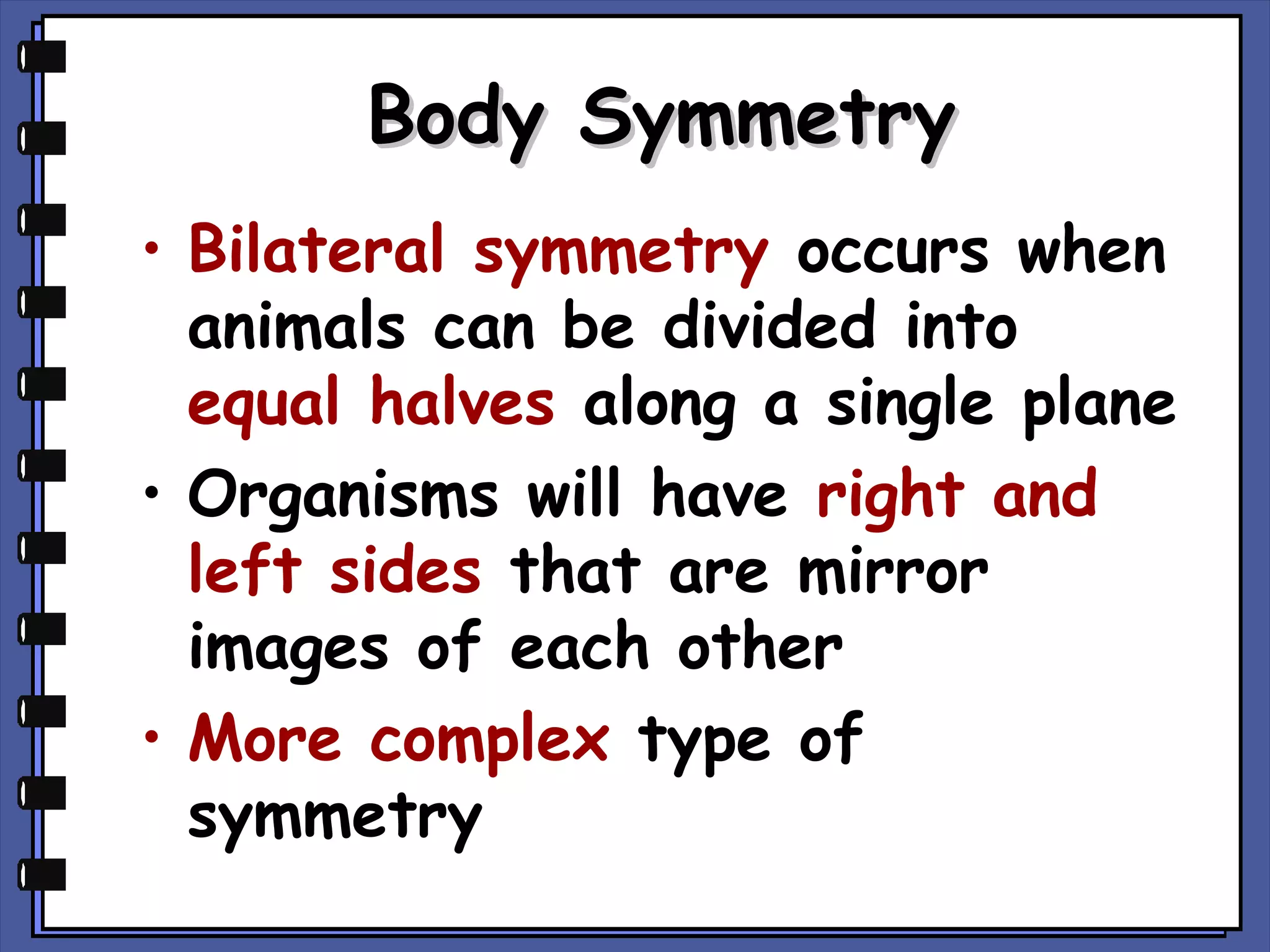 Body Symmetry
• Bilateral symmetry occurs when
animals can be divided into
equal halves along a single plane
• Organisms will have right and
left sides that are mirror
images of each other
• More complex type of
symmetry

 