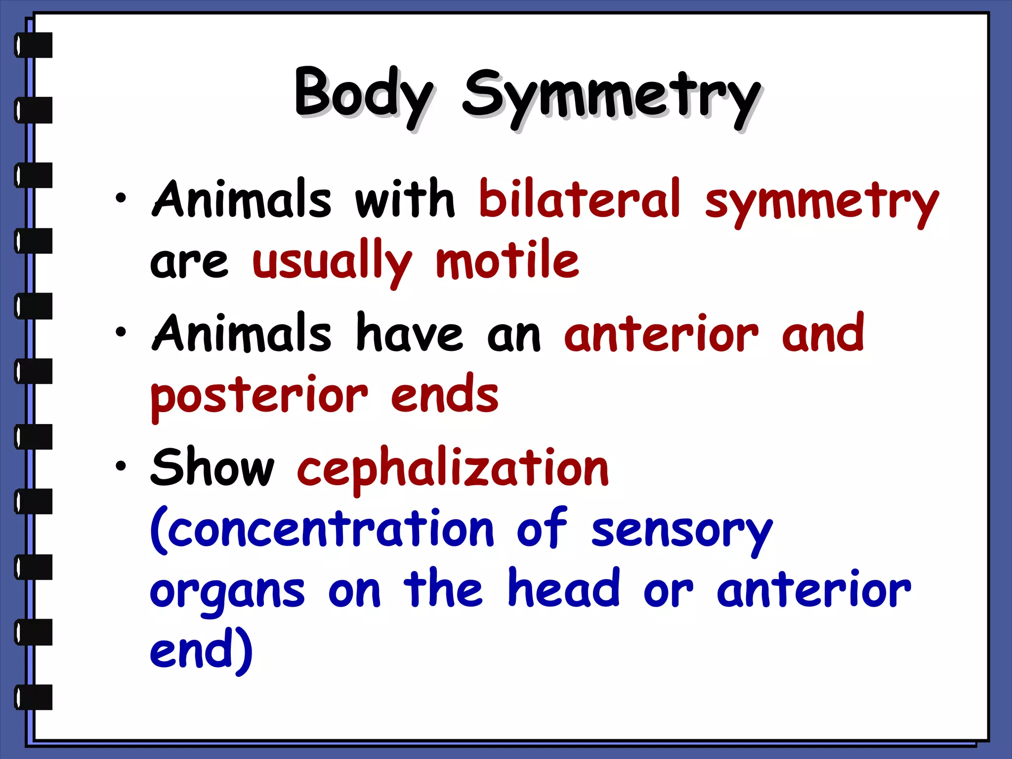 Body Symmetry
• Animals with bilateral symmetry
are usually motile
• Animals have an anterior and
posterior ends
• Show cephalization
(concentration of sensory
organs on the head or anterior
end)

 