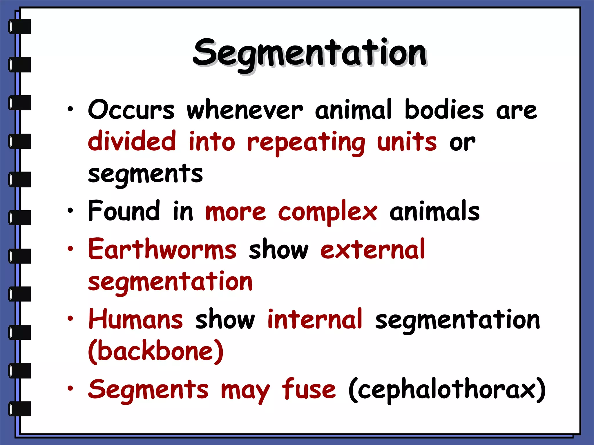 Segmentation
• Occurs whenever animal bodies are
divided into repeating units or
segments
• Found in more complex animals
• Earthworms show external
segmentation
• Humans show internal segmentation
(backbone)
• Segments may fuse (cephalothorax)

 