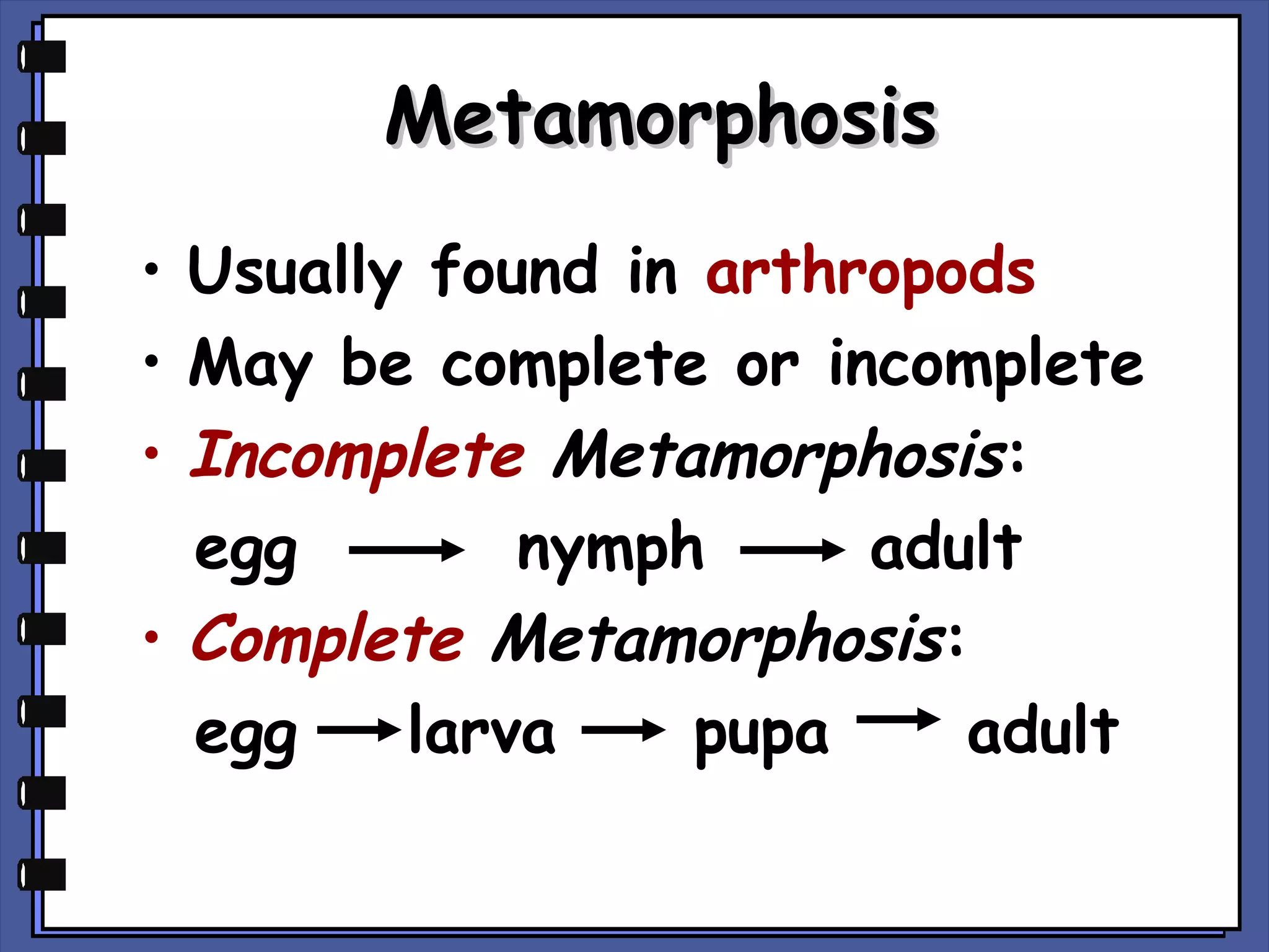 Metamorphosis
• Usually found in arthropods
• May be complete or incomplete
• Incomplete Metamorphosis:
egg
nymph
adult
• Complete Metamorphosis:
egg
larva
pupa
adult

 