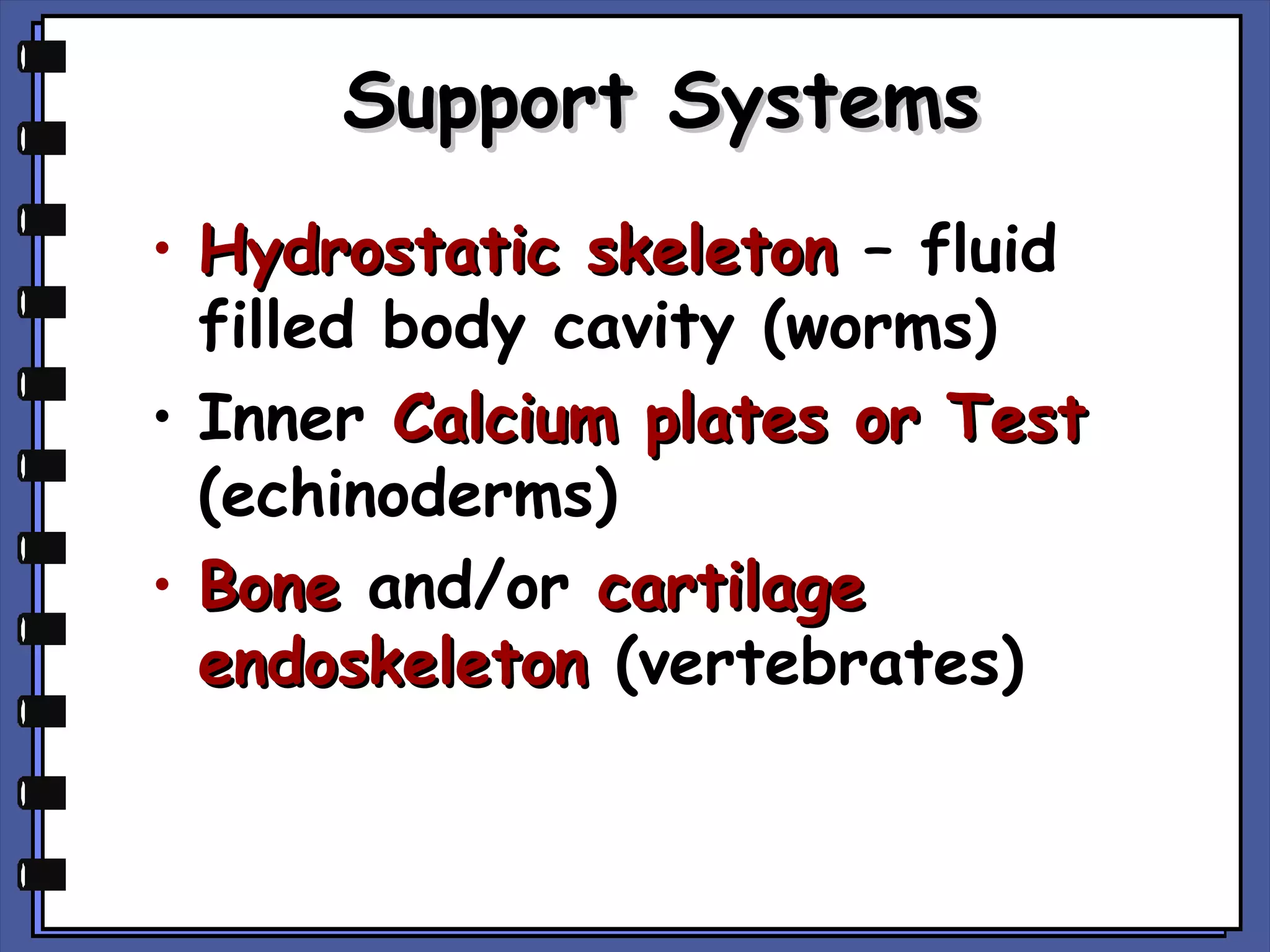 Support Systems
• Hydrostatic skeleton – fluid
filled body cavity (worms)
• Inner Calcium plates or Test
(echinoderms)
• Bone and/or cartilage
endoskeleton (vertebrates)

 