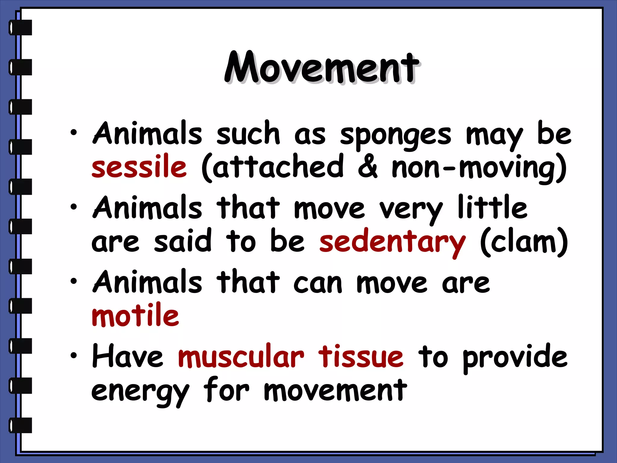 Movement
• Animals such as sponges may be
sessile (attached & non-moving)
• Animals that move very little
are said to be sedentary (clam)
• Animals that can move are
motile
• Have muscular tissue to provide
energy for movement

 