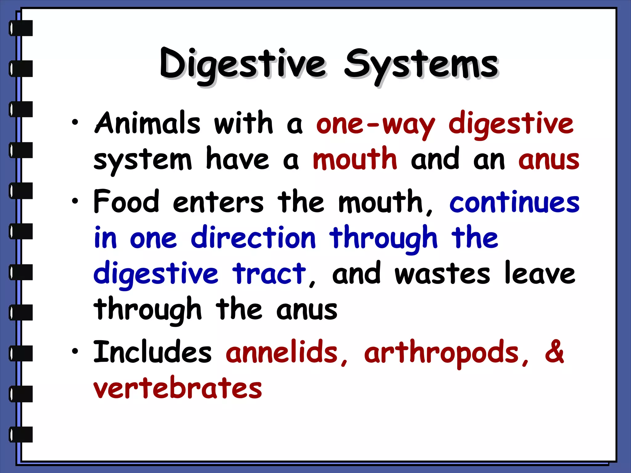 Digestive Systems
• Animals with a one-way digestive
system have a mouth and an anus
• Food enters the mouth, continues
in one direction through the
digestive tract, and wastes leave
through the anus
• Includes annelids, arthropods, &
vertebrates

 