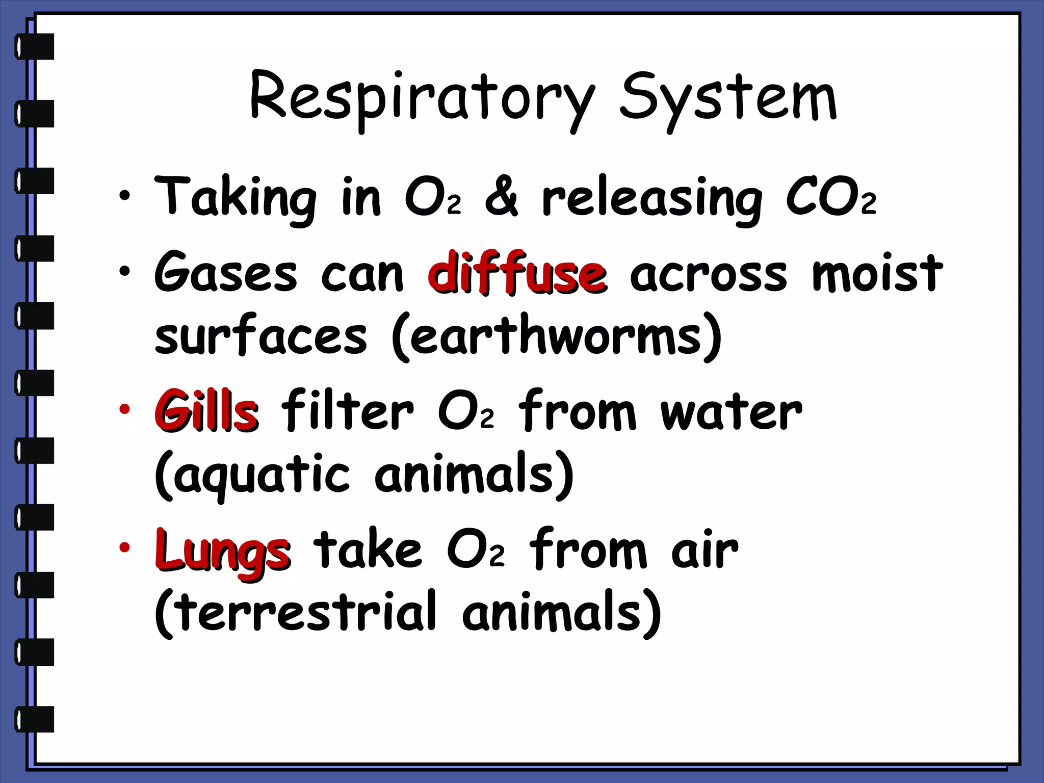 Respiratory System
• Taking in O2 & releasing CO2
• Gases can diffuse across moist
surfaces (earthworms)
• Gills filter O2 from water
(aquatic animals)
• Lungs take O2 from air
(terrestrial animals)

 
