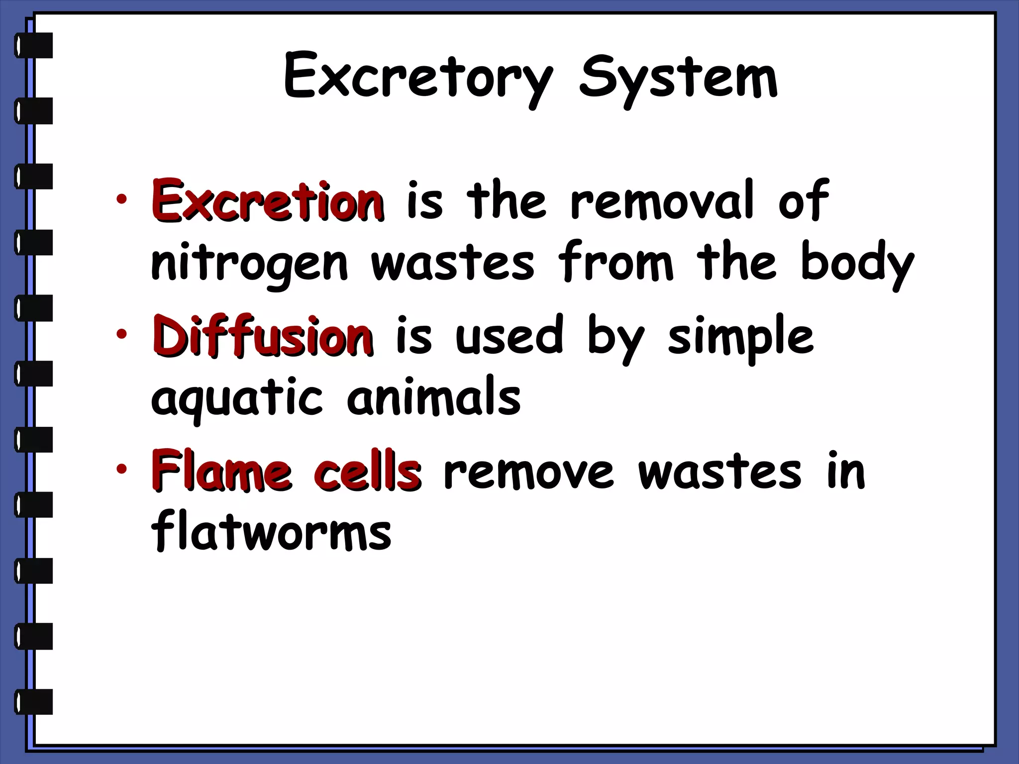 Excretory System
• Excretion is the removal of
nitrogen wastes from the body
• Diffusion is used by simple
aquatic animals
• Flame cells remove wastes in
flatworms

 