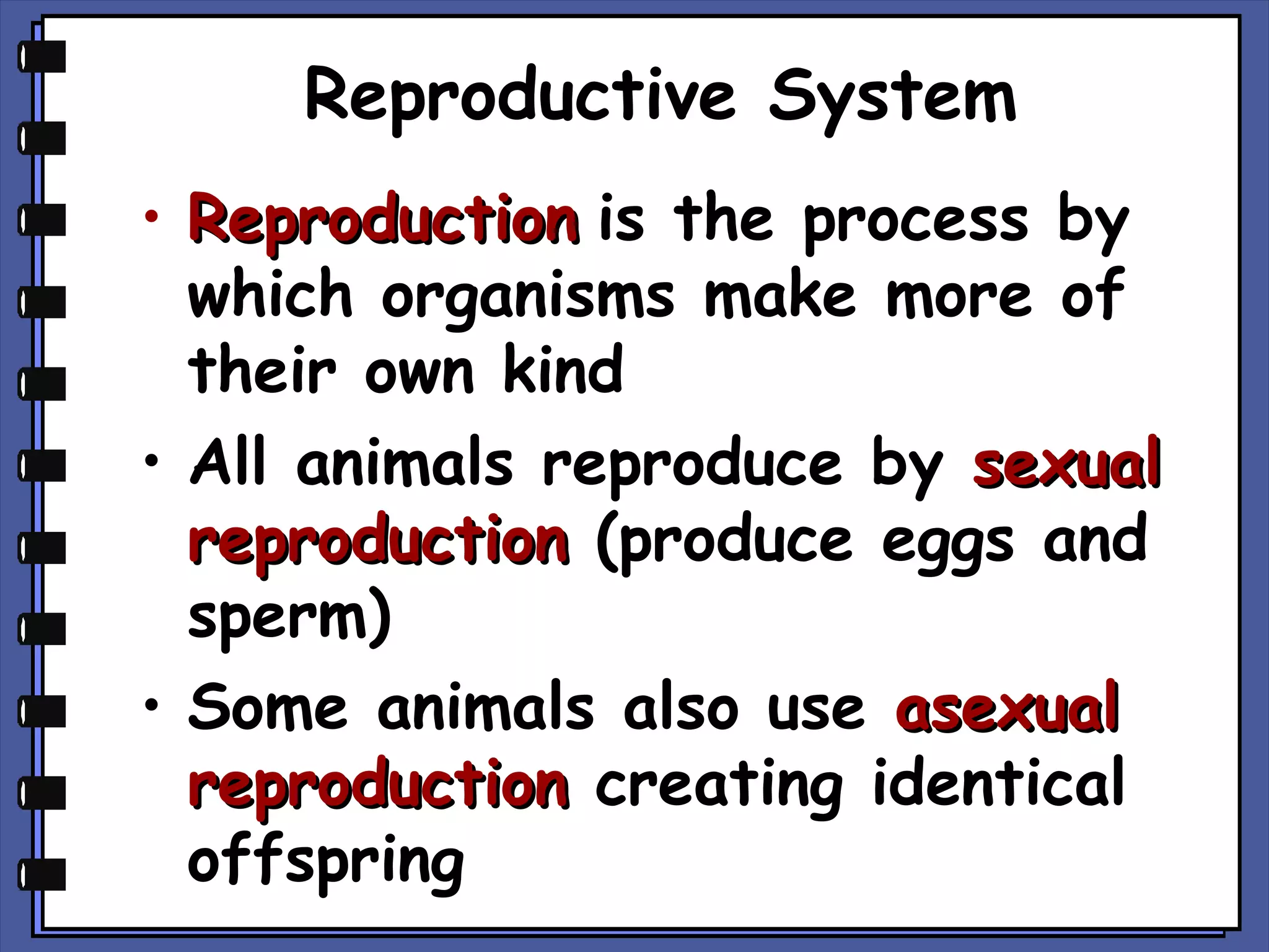 Reproductive System
• Reproduction is the process by
which organisms make more of
their own kind
• All animals reproduce by sexual
reproduction (produce eggs and
sperm)
• Some animals also use asexual
reproduction creating identical
offspring

 